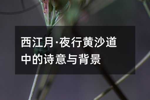 西江月·夜行黄沙道中的诗意与背景
