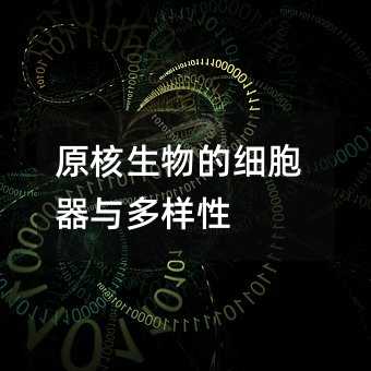原核生物的细胞器与多样性
