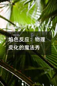 焰色反应:物理变化的魔法秀