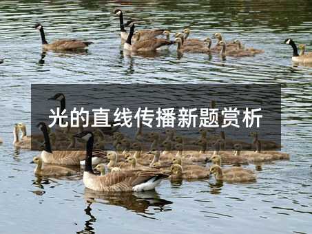 光的直线传播新题赏析