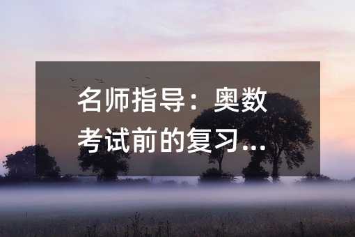 名师指导:奥数考试前的复习建议