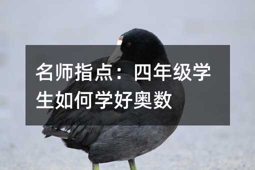 名师指点:四年级学生如何学好奥数