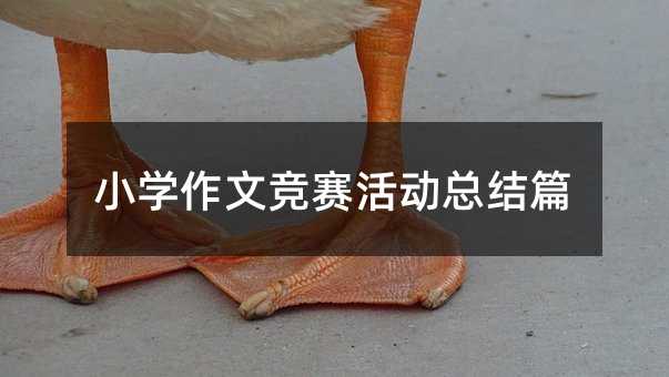 小学作文竞赛活动总结篇