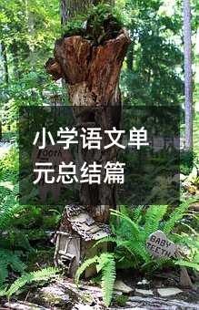 小学语文单元总结篇