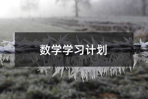 数学学习计划