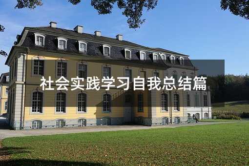 社会实践学习自我总结篇