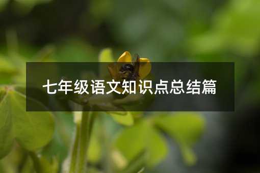 七年级语文知识点总结篇