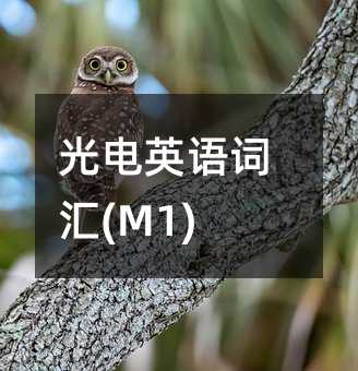光电英语词汇(M1)