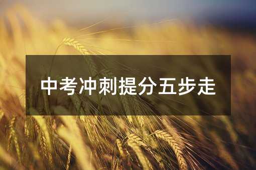 中考冲刺提分五步走