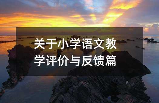 关于小学语文教学评价与反馈篇