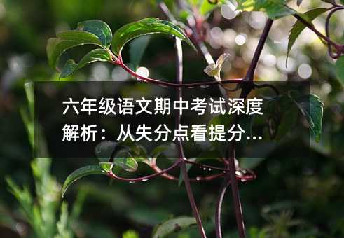 六年级语文期中考试深度解析:从失分点看提分秘诀