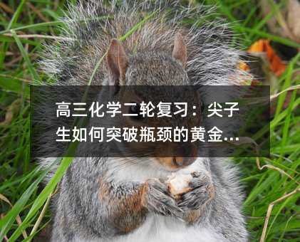 高三化学二轮复习:尖子生如何突破瓶颈的黄金计划