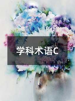 学科术语C