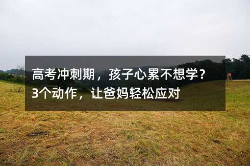 高考冲刺期,孩子心累不想学?3个动作,让爸妈轻松应对
