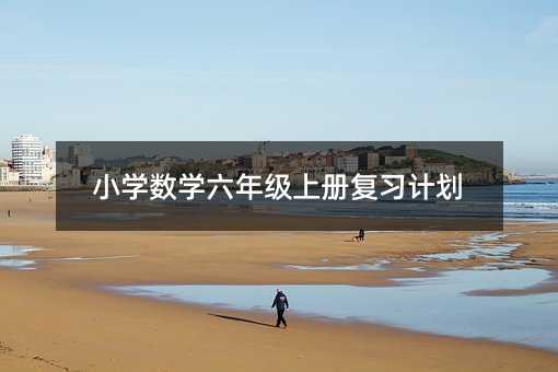 小学数学六年级上册复习计划