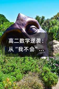 高二数学逆袭:从“我不会”到“我懂了”的思维革命