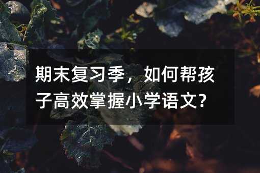 ��ĩ��ϰ������ΰﺢ�Ӹ�Ч����Сѧ���ģ�