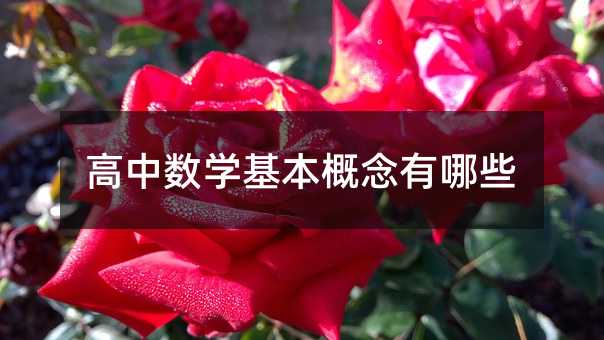 ������ѧ������������Щ