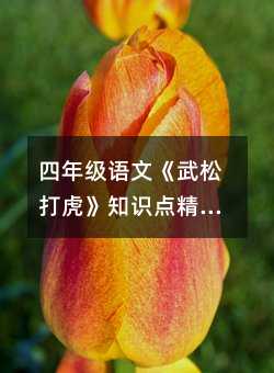 ���꼶���ġ����ɴ򻢡�֪ʶ�㾫������ʵ������������������