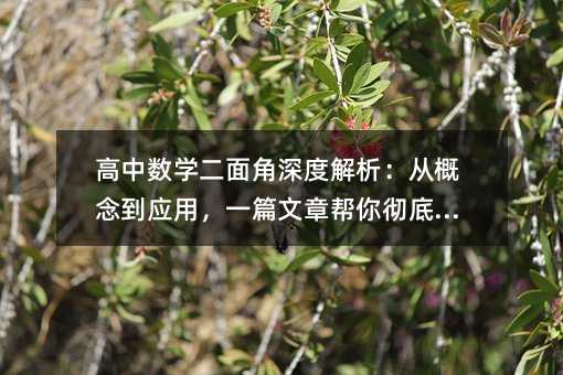 ������ѧ�������Ƚ������Ӹ��Ӧ�ã�һƪ���°��㳹������