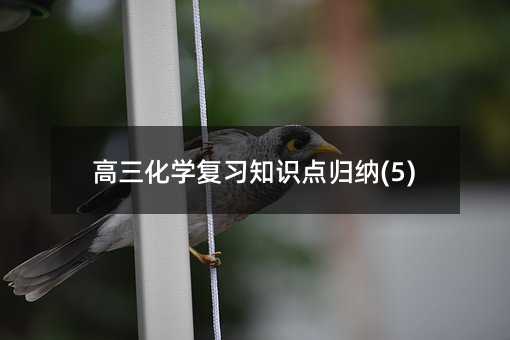 ������ѧ��ϰ֪ʶ�����(5)