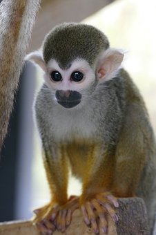 ��һ��͸������ˣ��𼱣����Ҳ������ٿ�ҩ��