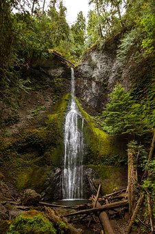 如果您的孩子英语很差(二)