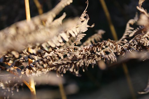 调查显示:中学生比大学生更赞成同居