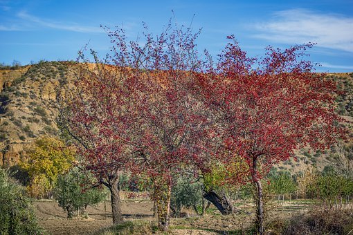 英语逆袭,只需极致践行这四点