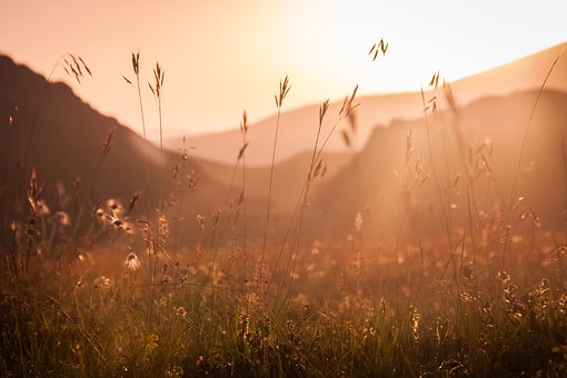 《山行》一诗四用篇