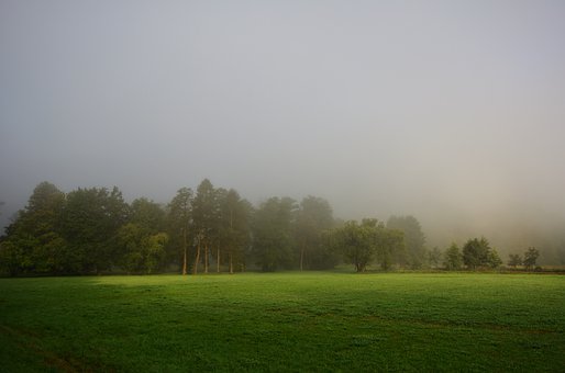 提升小学数学成绩不可少的那些“好习惯”