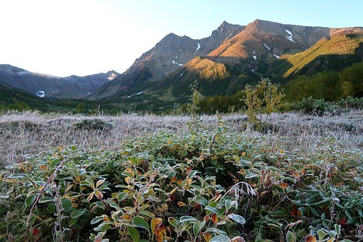 2015ɽ߿ĸӢӢе̫